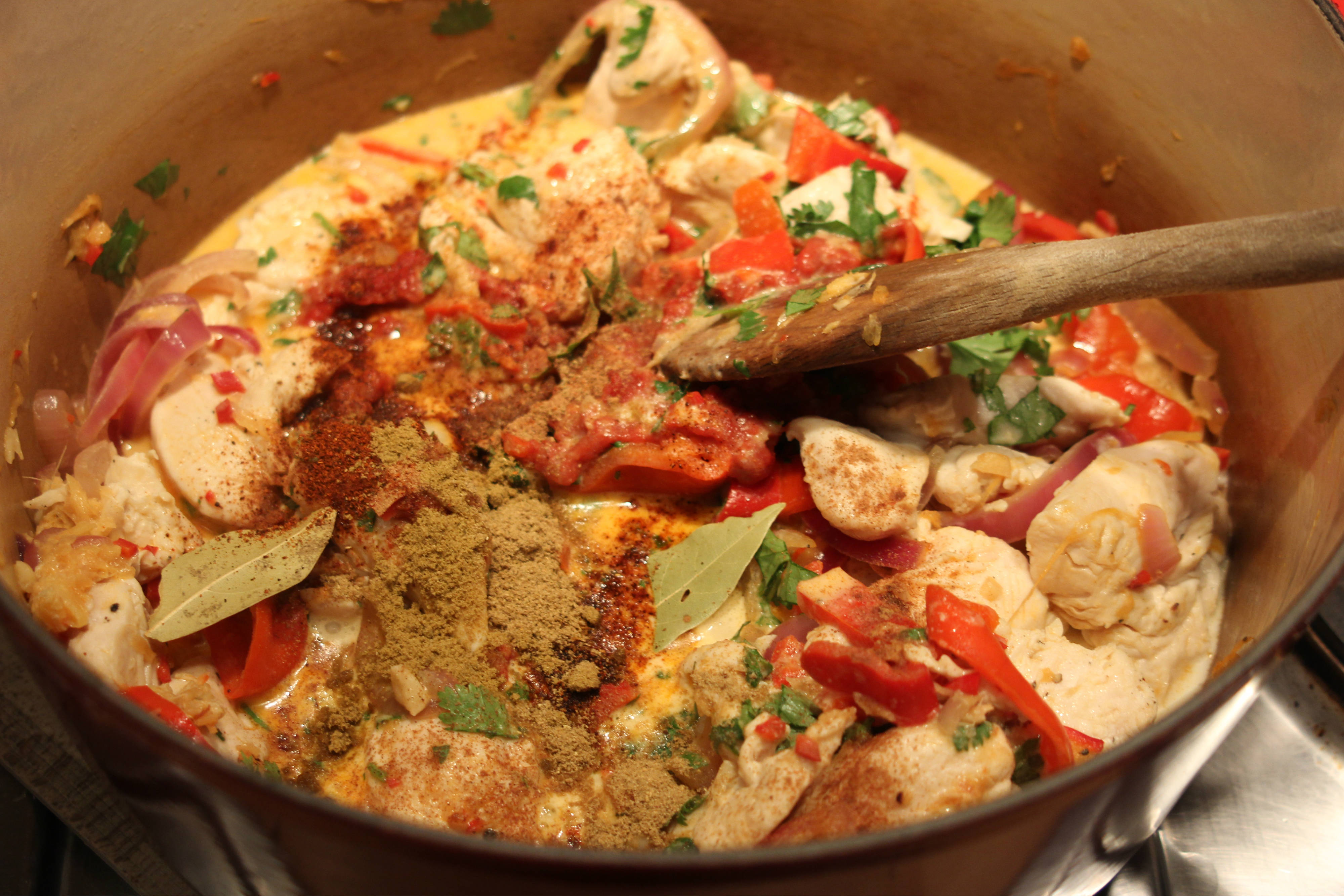 Chicken Thai Curry 5